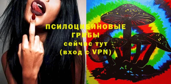 прущий лед Козловка