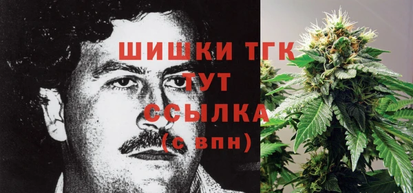 прущий лед Козловка