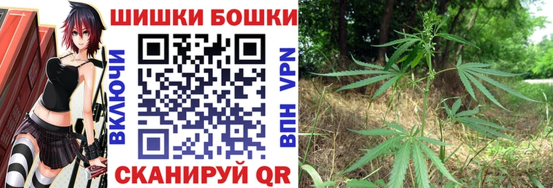 Бошки Шишки конопля Старица
